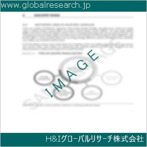 グローバルリサーチ調査資料のイメージ